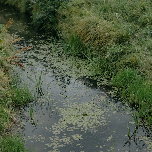 问鼎娱乐老虎机游戏